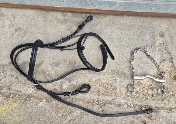 cabezada riendas bocado caballo 1u